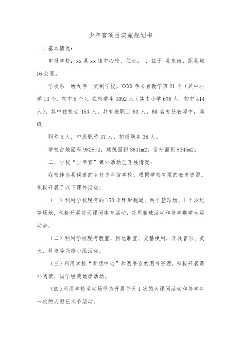 少年宫项目实施规划书.doc