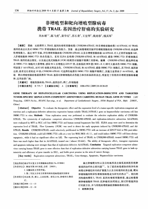 非增殖型和靶向增殖型腺病毒携带TRAIL基因治疗肝癌的实验研究