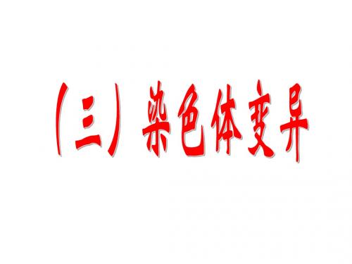染色体变异