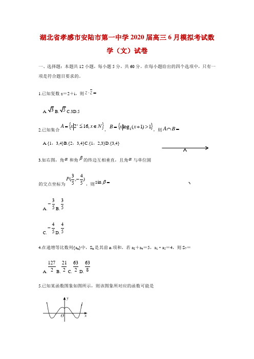 湖北省孝感市安陆市第一中学2020届高三6月模拟考试数学(文)试卷