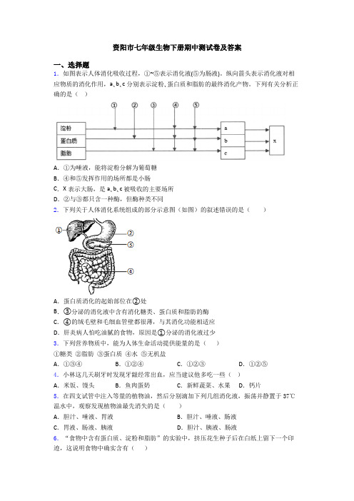 资阳市七年级生物下册期中测试卷及答案