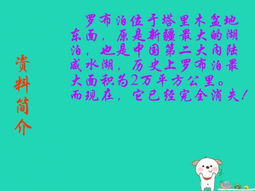 2018年八年级语文上册第12课《罗布泊,消逝的仙湖》课件7沪教版五四制