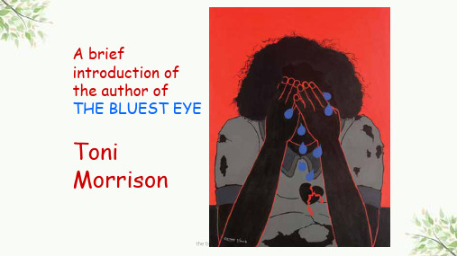 the bluest eye 最蓝的眼睛课件