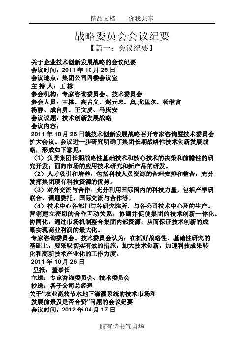 战略委员会会议纪要