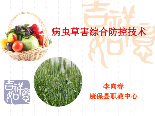 病虫害综合防控技术.