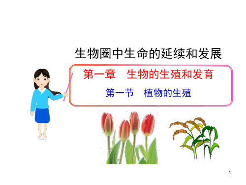 第七单元第一章-第一节-植物的生殖(人教版八年级下)PPT课件