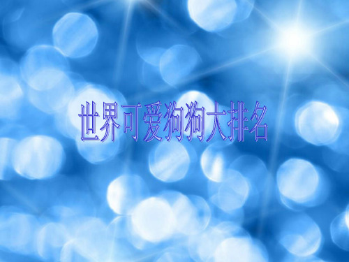狗狗
