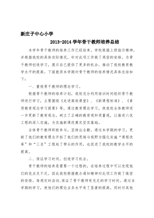 2013-2014骨干教师培养总结2012.07