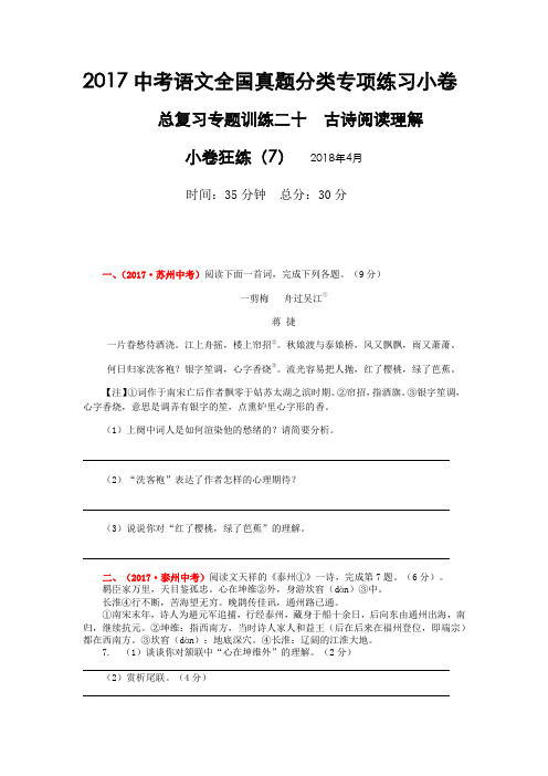 2017中考语文全国真题分类专项练习小卷  初三语文冲刺 专题训练二十  古诗阅读理解  小卷狂练7