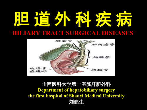 胆道外科CholehosSur共128页