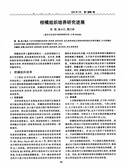 柑橘组织培养研究进展