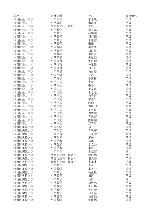 小学参训人员分组及研修角色名单