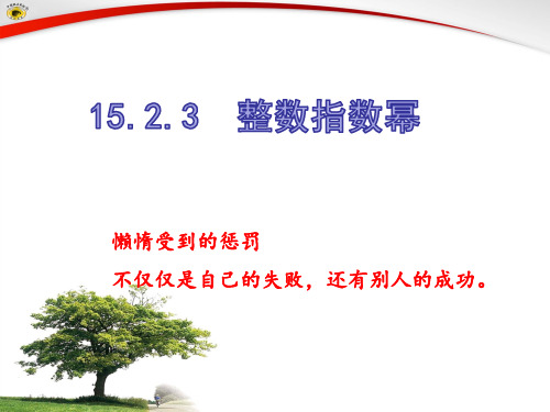 15.2.3整数指数幂 课件-人教版八年级数学上册