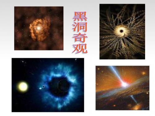 八年级语文下册第三单元15《喂出来》课件(新人教版