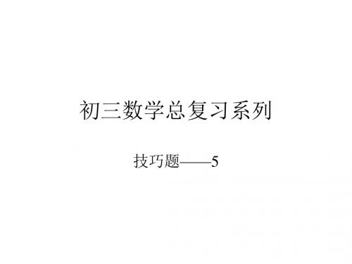 中考数学总复习系列技巧5[人教版](2019新)
