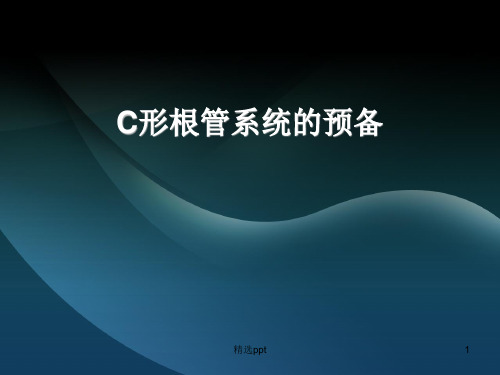 C形根管系统的预备