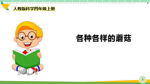 最新人教版科学四年级上册《各种各样的蘑菇》优质课件