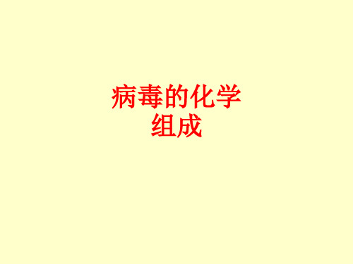 [课件]病毒的化学组成PPT