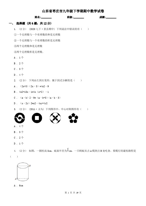 山东省枣庄市九年级下学期期中数学试卷