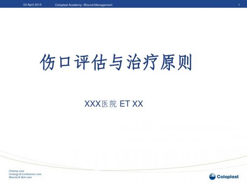 6.1-伤口评估与治疗原则