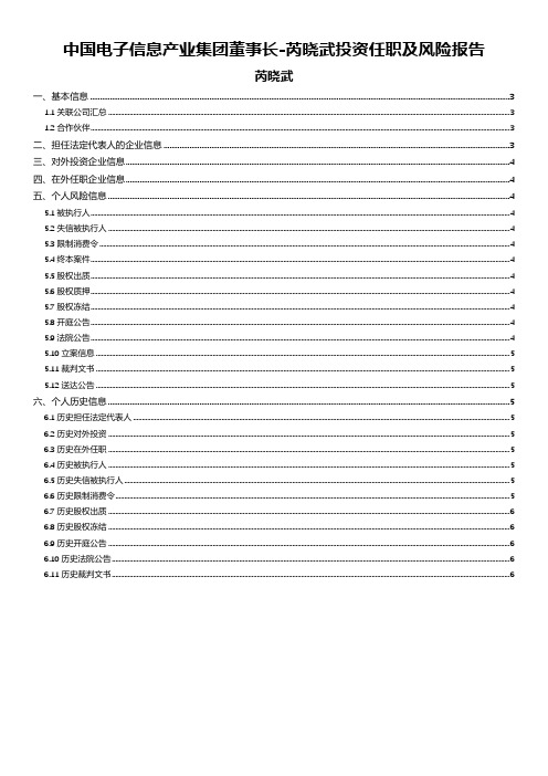 中国电子信息产业集团董事长-易点查提供芮晓武投资任职及风险报告
