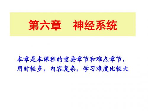 第6章-神经系统