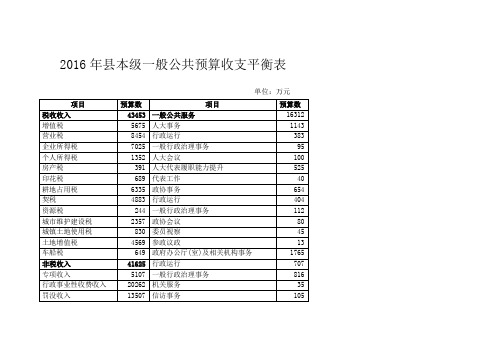 2019年本级一般公共预算收支平衡表