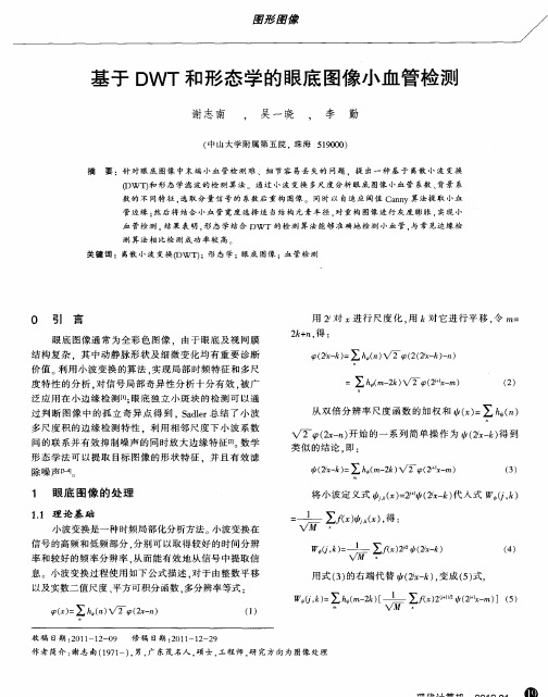 基于DWT和形态学的眼底图像小血管检测