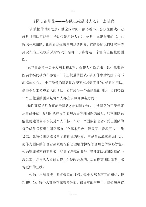 《团队正能量-带队伍就是带人心》读后感