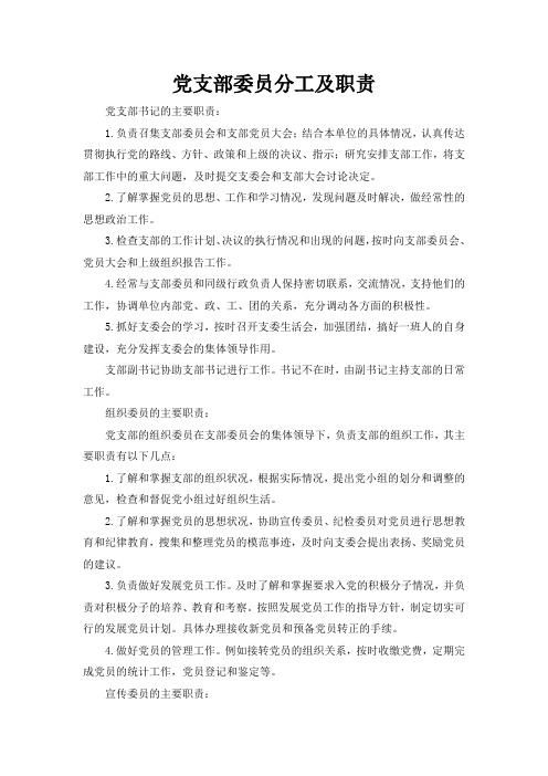 党支部委员分工及职责