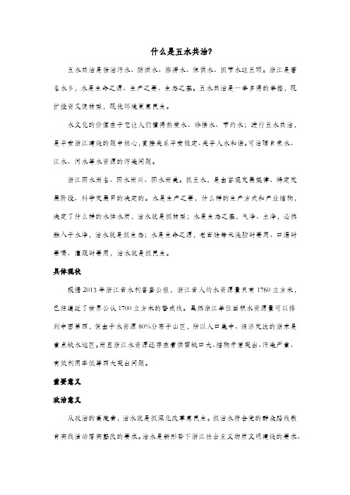 什么是五水共治