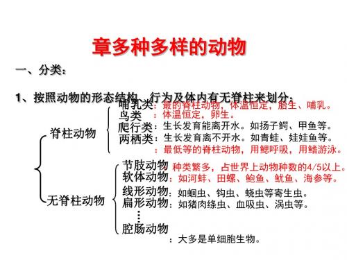 多种多样的动物PPT课件 冀教版