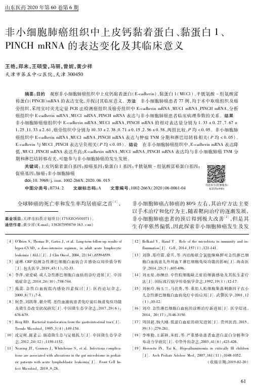 非小细胞肺癌组织中上皮钙黏着蛋白、黏蛋白1、pinch mrna的表达变化