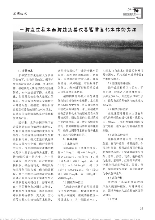 一种通过在水面种植蔬菜改善富营养化水体的方法