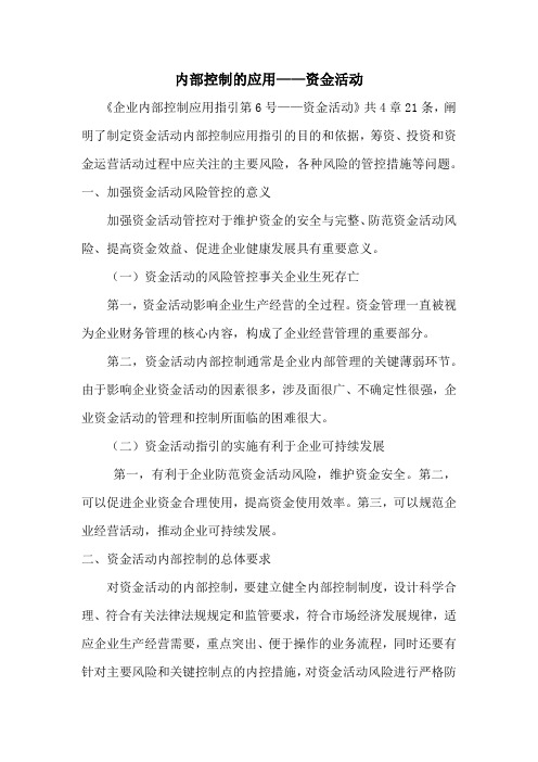 内部控制的应用-资金活动