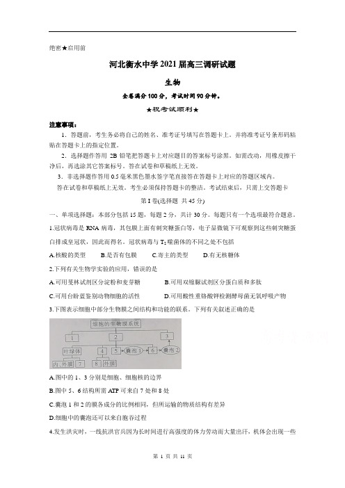 河北衡水中学2021届高三调研试题 生物 Word版含答案