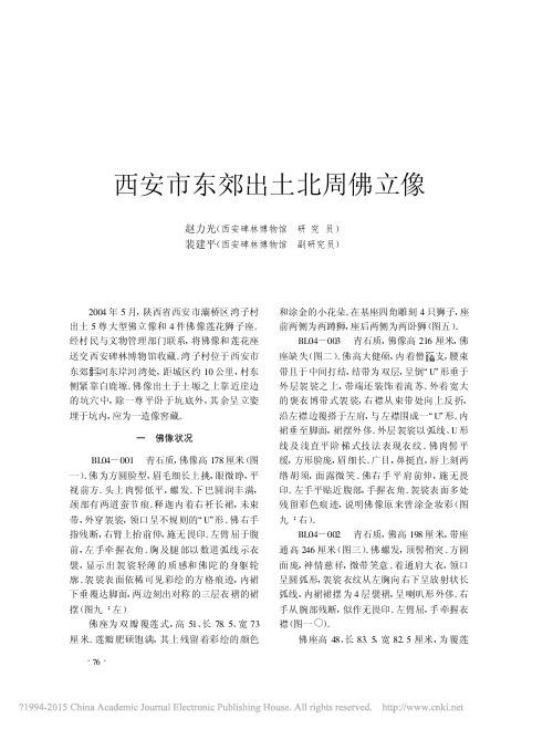 文物200509--西安市东郊出土北周佛立像_赵力光