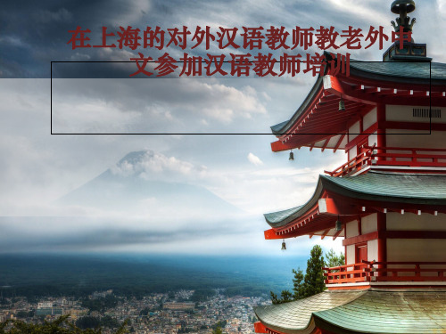 整理在上海的对外汉语教师教老外中文参加汉语教师培训