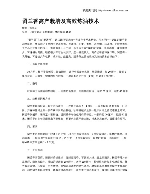留兰香高产栽培及高效炼油技术
