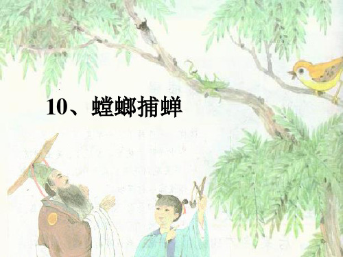 螳螂捕蝉精品PPT课件