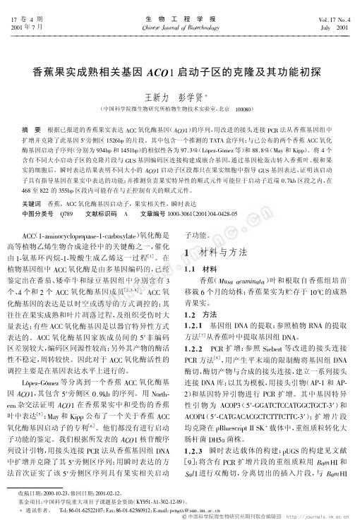 香蕉果实成熟相关基因ACO1启动子区的克隆及其功能初探