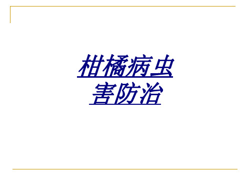 柑橘病虫害防治讲义