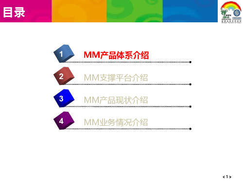 MM产品平台介绍