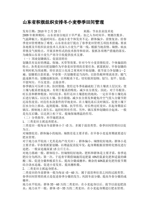 山东省积极组织安排冬小麦春季田间管理