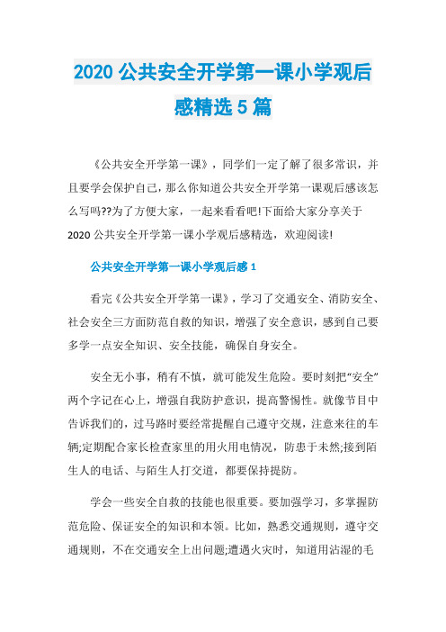 2020公共安全开学第一课小学观后感精选5篇