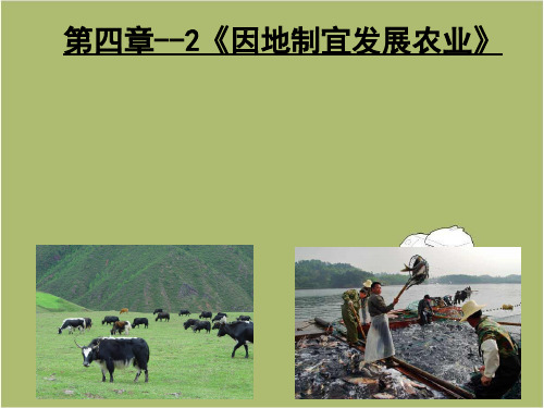 地理八年级上册第四章第一节 因地制宜发展农业