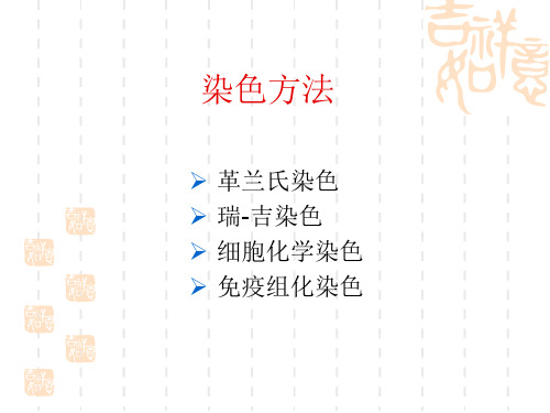 各种染色方法及应用ppt课件