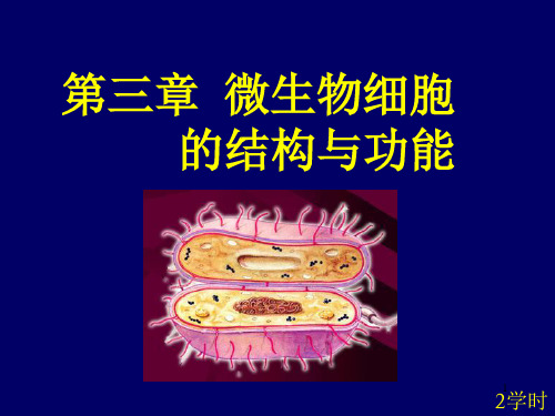 微生物的细胞结构与功能PPT课件