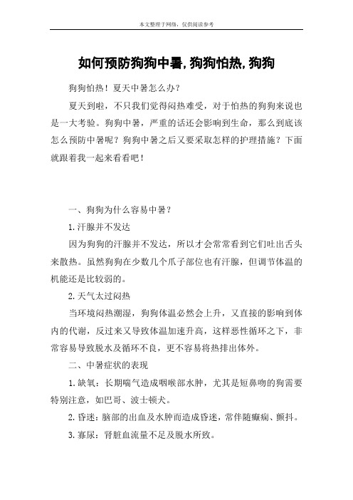 如何预防狗狗中暑,狗狗怕热,狗狗