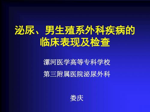 40-泌尿男生殖系外科疾病的临床表现及检查,娄庆.